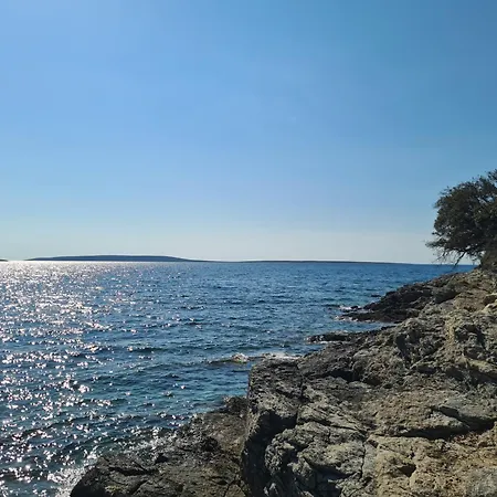 Salvia - Stivan, Cres - 900 M To Merascica アパート Štivan